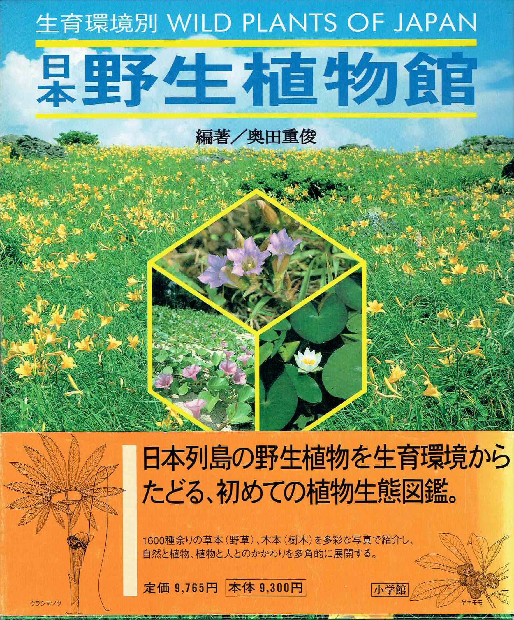 古本　買取　大阪の黒崎書店